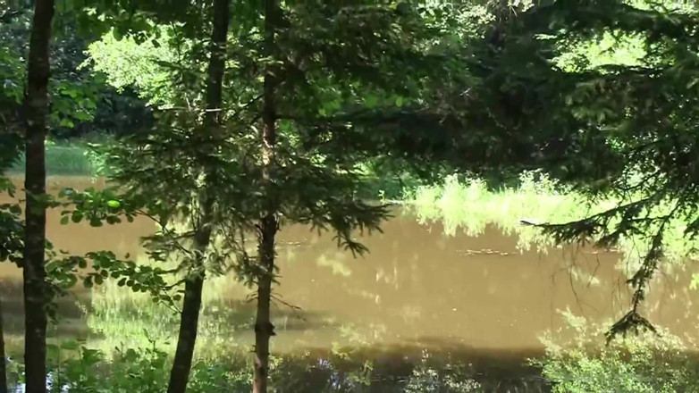 Popp Sylvie: The Sex at the Lake