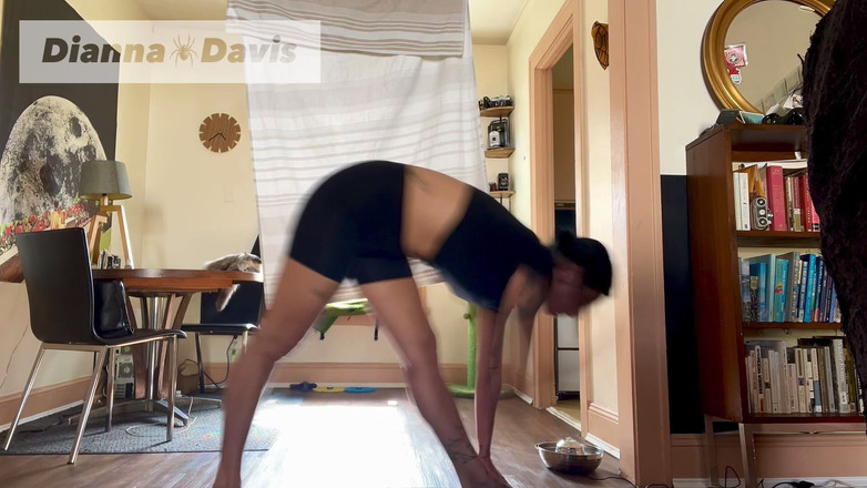 Dianna Davis: स्पीड योग