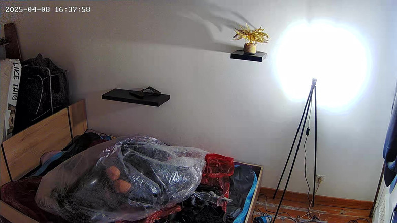 Latex anal: Beg perhambaan diri lateks