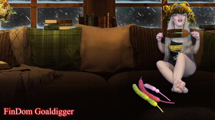 FinDom Goaldigger: Cyber CEI