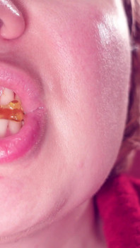 Makan Jelly Teddybears Candies. Mengunyah. Mulut close-up.