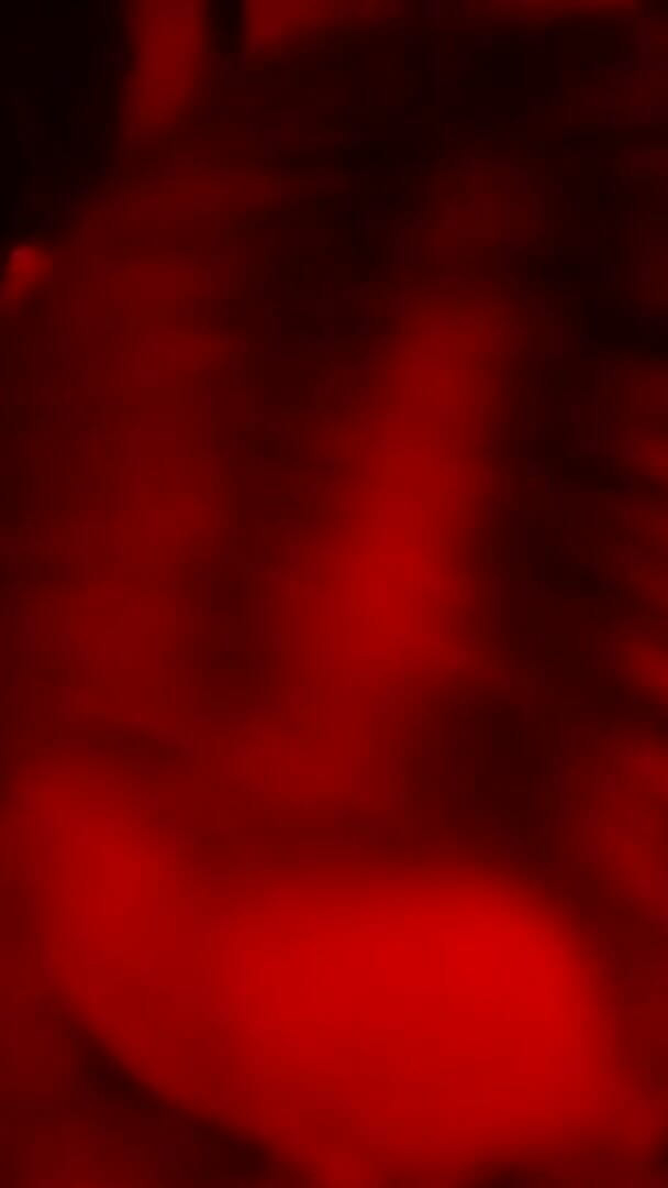 Marian sofar: Il migliore a succhiare il cazzo!!