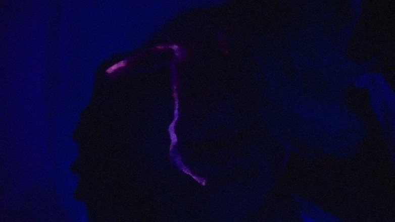 Roxxie rae page: Bez podtitulu Dot Vhs