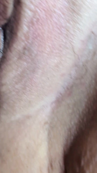 Creampie