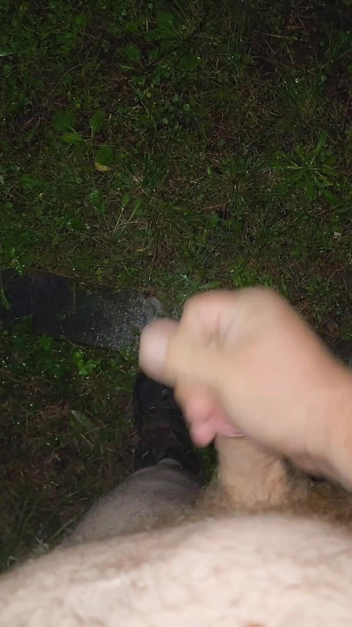 Djk31314: Almost Caught in a Park