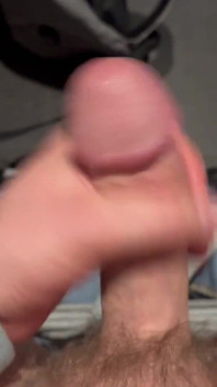 Medvěd si honí velký penis na stání na letišti - bez mrdky