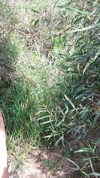 Granny Looks for a Lover Nacked in the Woods