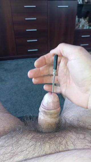 Peppol: Penis einführen