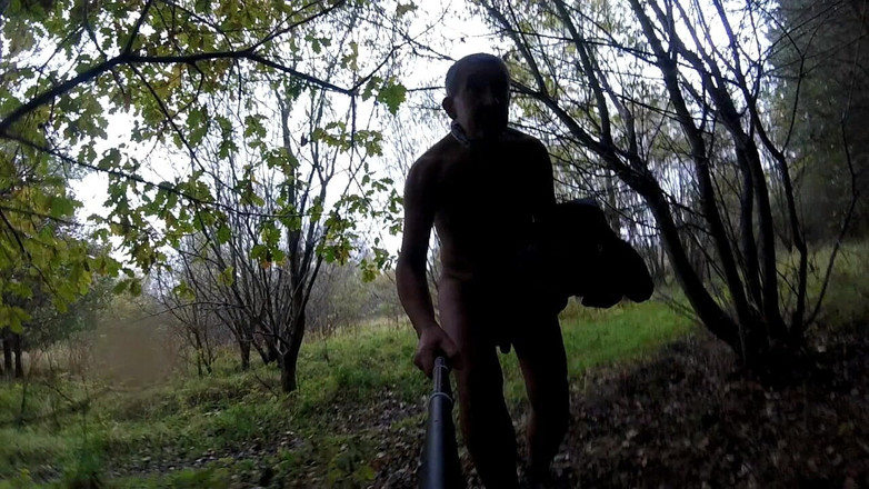 Andy: Мокрий день у лісі