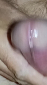 Nackte nahaufnahme, unbeschnittener schwanz wichsen, stöhnender orgasmus, köstliches sahniges sperma - rockiger papi