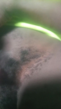 My Hairy Black Dick Need Some Shaving