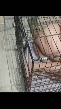 Mostrando um escravo