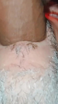 Dihisap batang latino gemuk saya