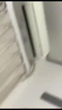 Asian Angel 24137