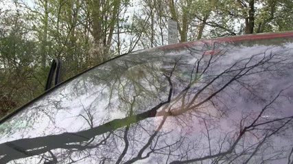 Popp Sylvie: Outdoor dildo action in my car