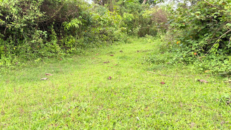 LonlyBoy: Roaming Naked and Doing Fun in Jungle and Open Place