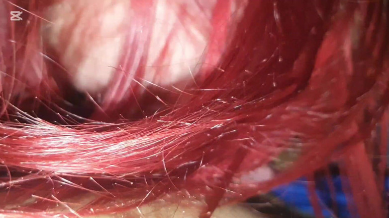 Eu-Girl: Amigo chupa polla y me hace acabar