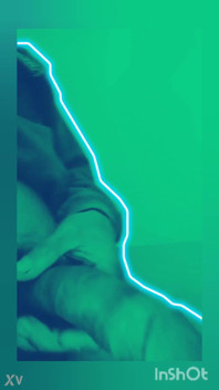 Intro Video