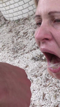 Guy Pees in Blonde's Mouth and Gets Cum in Her Mouth as a Thank You