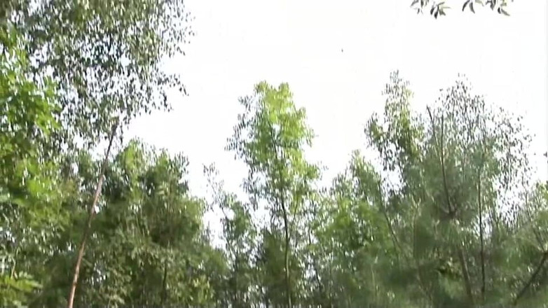 Spritzz: Letnie rejsy