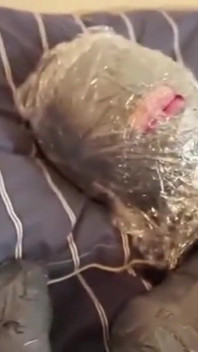 Yapışkan bant sıkma ve bağlama