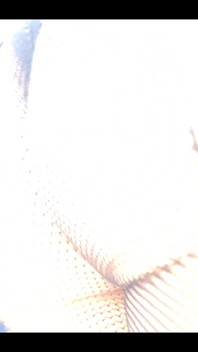 I love nets