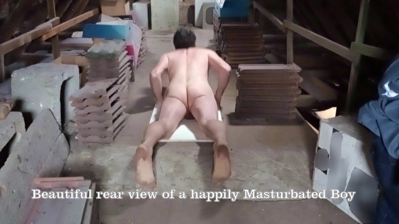 Mark Hannes: 快速的旧存储羞辱手淫