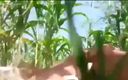 Real sex hub: Cheating Sex with My Maid&amp;#039;s Stepdaughter in My Corn Field