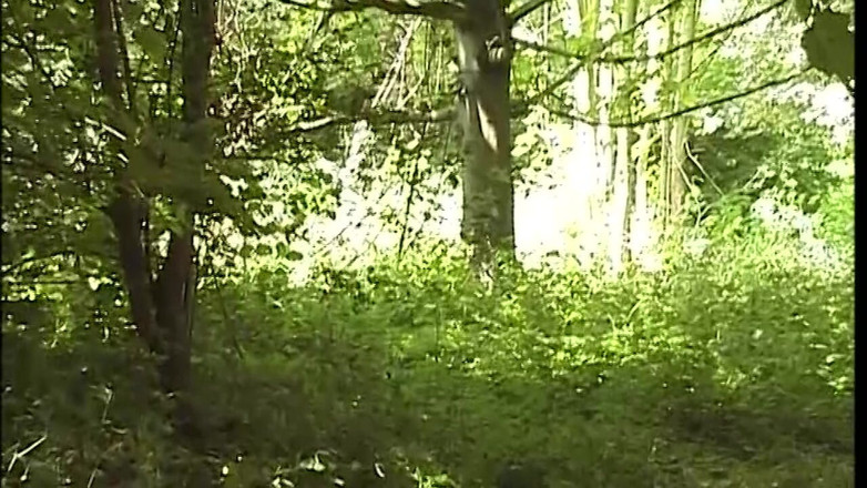 EroticEntertainment.Club: Xxl 完全风险