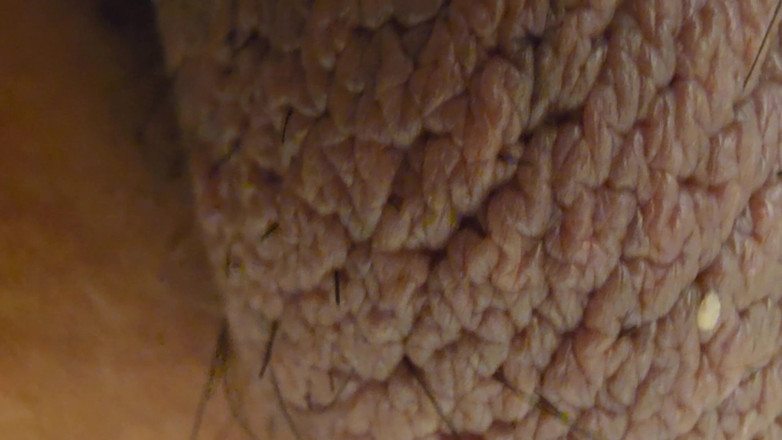 princeundertaker834: Closeup Desi Dick