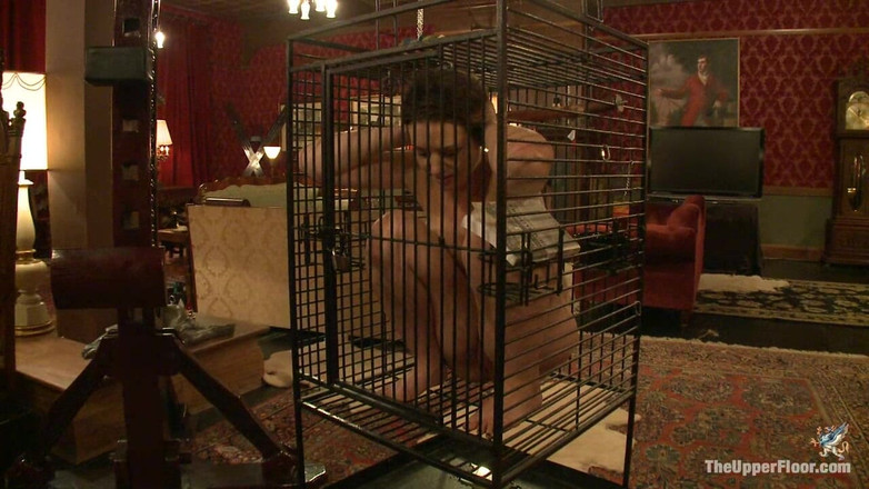 The Upper Floor by Kink: Sesja serwisowa: Awarie Shevona