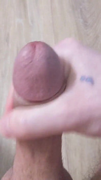 Close-up Em Primeiro Plano