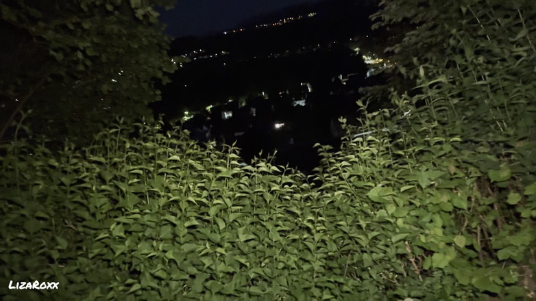 LizaRoxx: ジョガーランダムに犯され、吹きかけられた