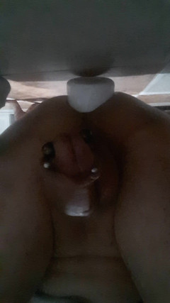 Renoreis: exploração da bunda