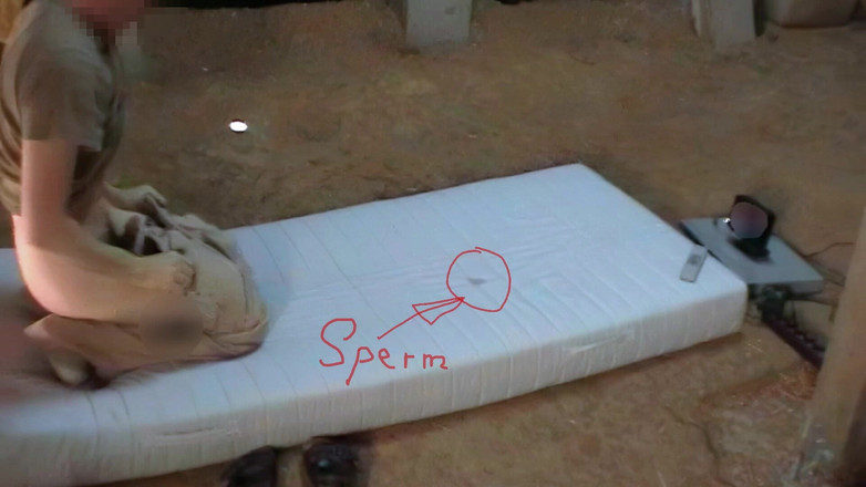 Mark Hannes: 험핑 오줌과 샤워 자위