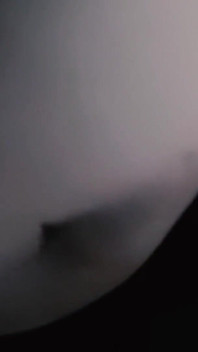 Melissa Lauren Looks Into the Camera as She Licks and Sucks a Black Dick