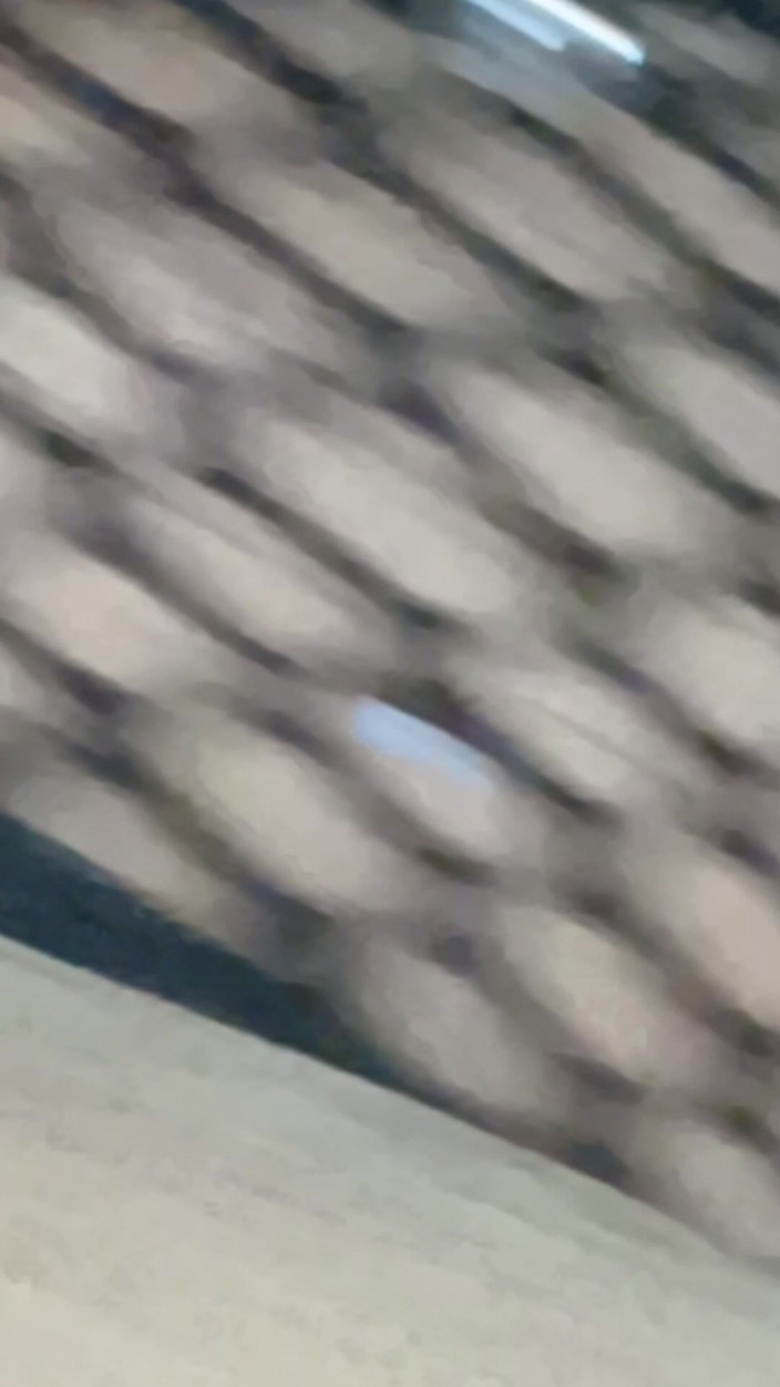 Vikingo azul: Nevlastní Sestra Šukala Jako Coura, Nosí Sexy Spodní Prádlo Pro Mě