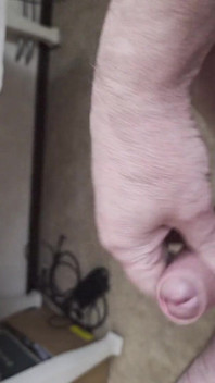 Můj kamarád sedí na židli a honí si penis, zatímco sleduje Vidia, dokud nedostane orgasmus