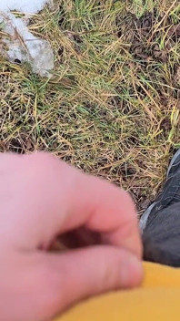 A Bit Risky Peeing - POV Outdoor Male Pee During a Nature Walk