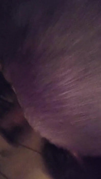 Mmm 20, vidéos de pet pour tous vous amateurs de gaz puant, venez sentir mon cul puant 2