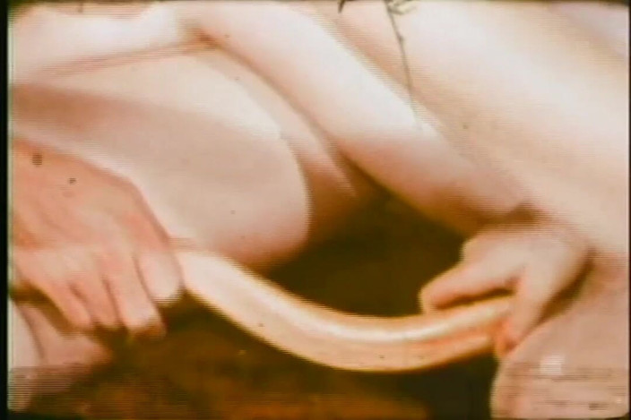 Vintage Megastore Full hd: 循环 - （全高清版重制电影）