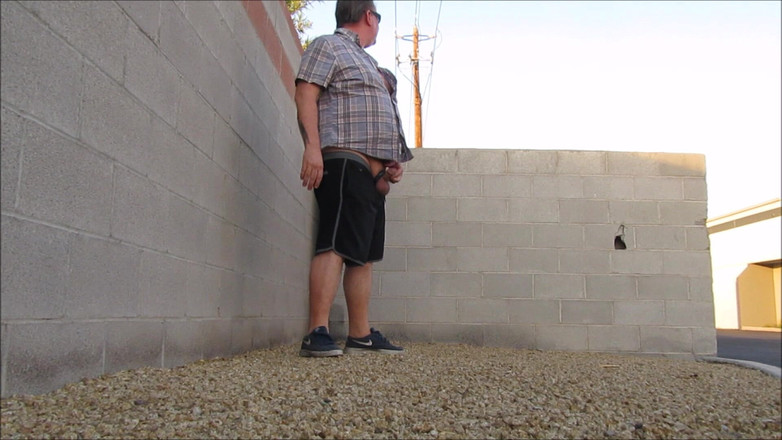 The porky pervert: Business Park Jackoff 1