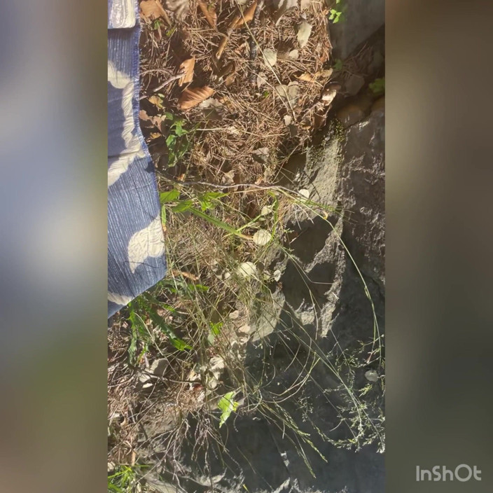 Spuirtcouplexxxx: Méga squirt en plein air avec un coureur de jupons...