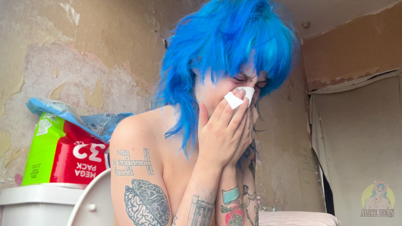 Alice Bean: Honks on the Toilet