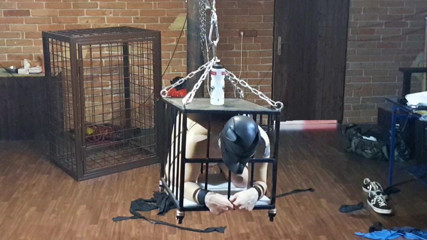 Master Drex: In a hanging cage