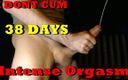 Alex Metallov: 38 dni bez orgazmu! Intensywny orgazm i napalone, Filty jęki