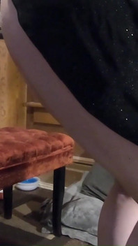 Daphne Dressing Room Panty Tease Sparkly Dress