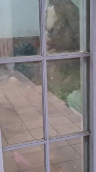 Cuckold kam zu hause an und sah seine frau mit einem anderen