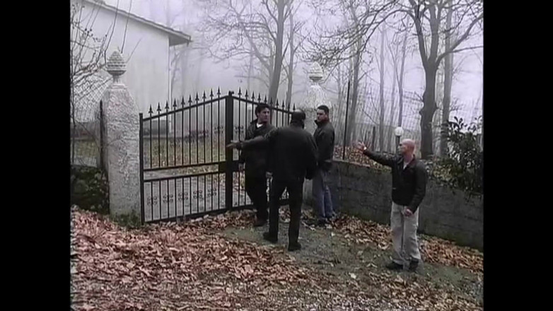 Big Bamboo Trans: Don’t Go Into That House