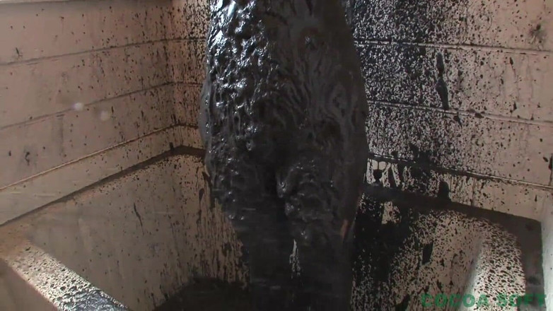 Cocoa Soft: Bolha 02